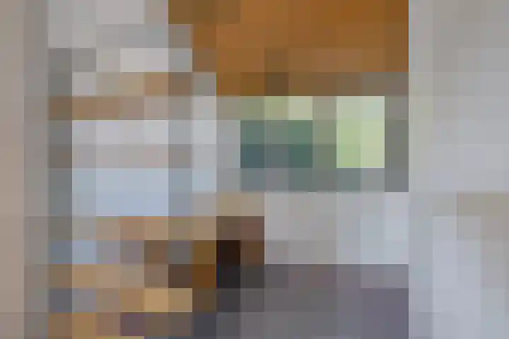 Laan van de Bork 460 Emmen thumbnail 20