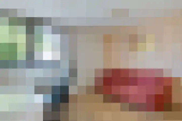 Laan van de Bork 460 Emmen thumbnail 21