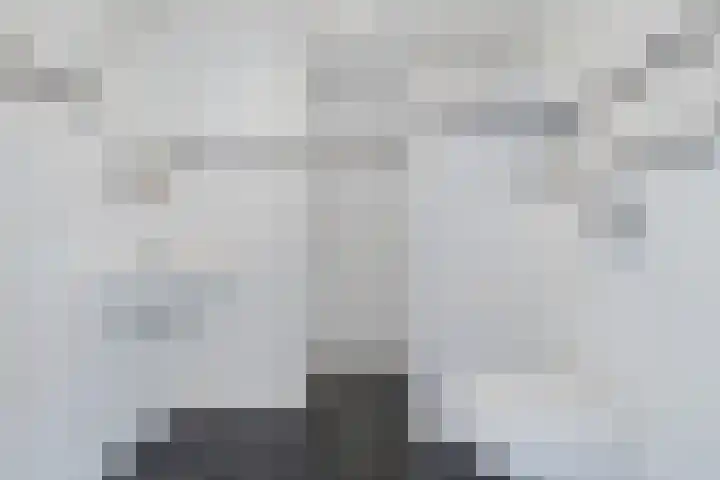 Laan van de Bork 460 Emmen thumbnail 23