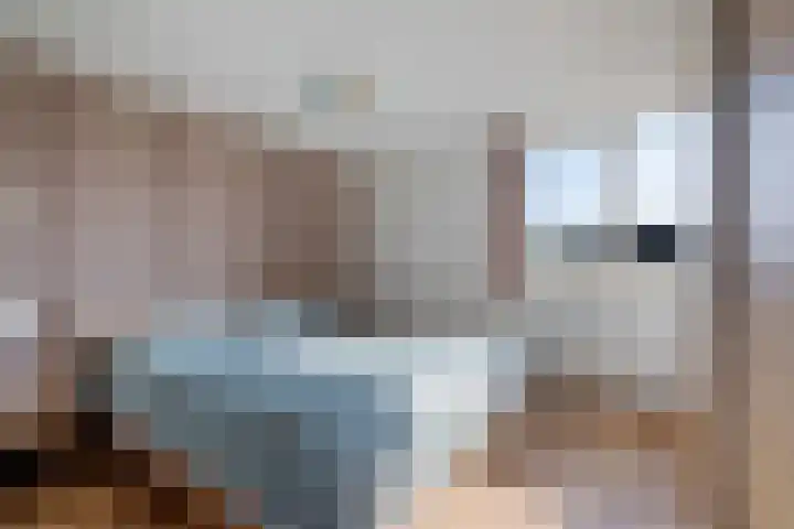 Laan van de Bork 460 Emmen thumbnail 27