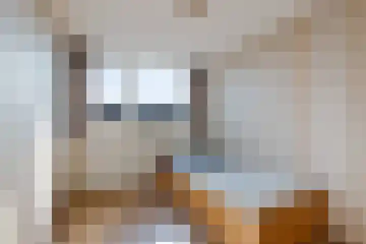 Laan van de Bork 460 Emmen thumbnail 28