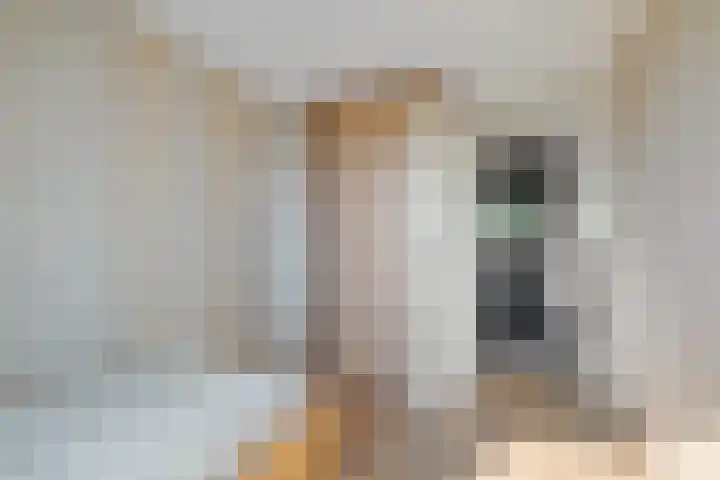 Laan van de Bork 460 Emmen thumbnail 29