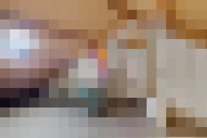 Laan van de Bork 460 Emmen thumbnail 30