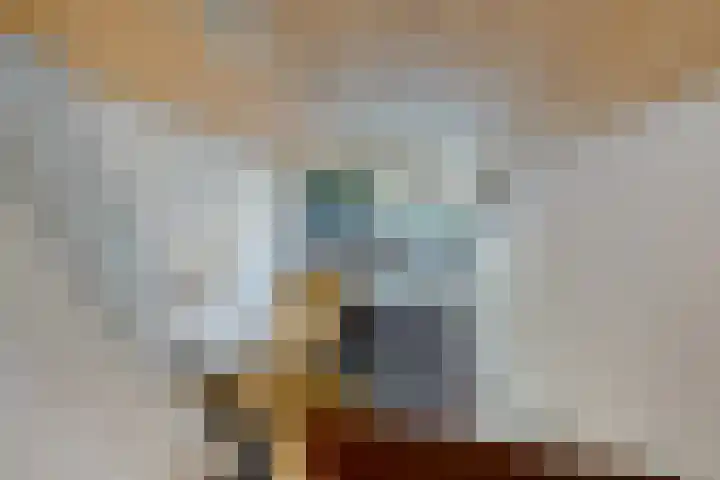 Laan van de Bork 460 Emmen thumbnail 31