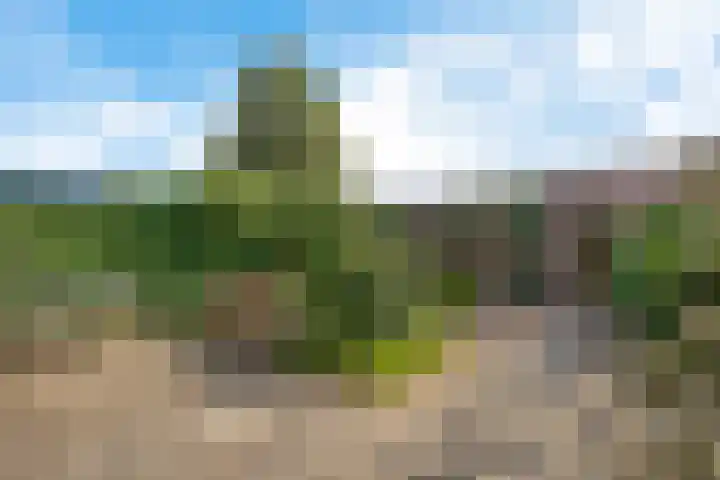 Laan van de Bork 460 Emmen thumbnail 32