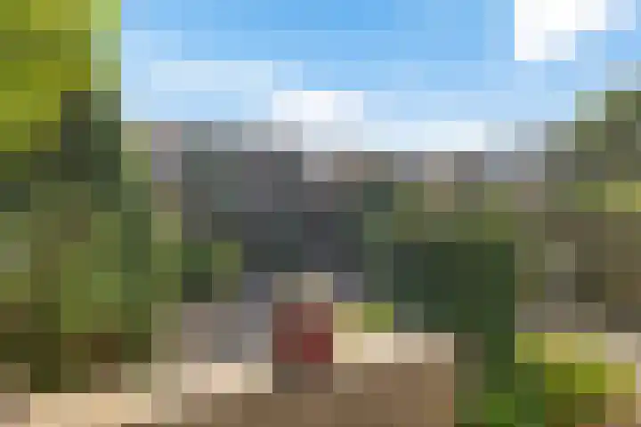 Laan van de Bork 460 Emmen thumbnail 33