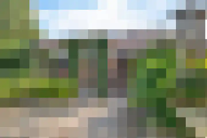 Laan van de Bork 460 Emmen thumbnail 34