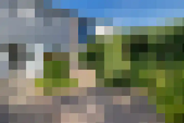 Laan van de Bork 460 Emmen thumbnail 35
