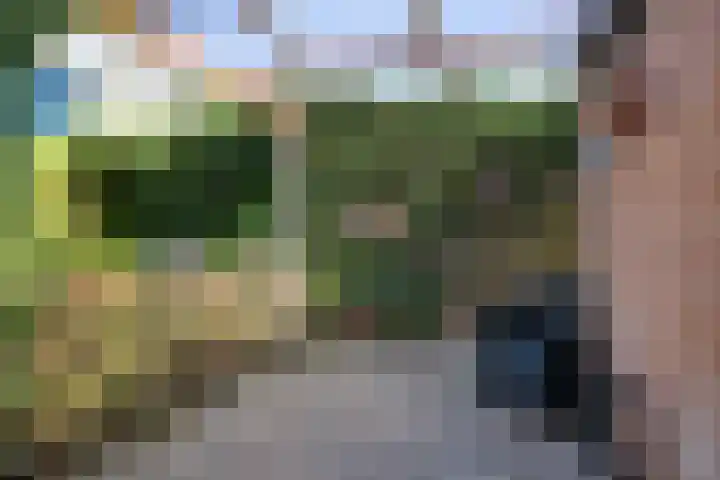 Laan van de Bork 460 Emmen thumbnail 36