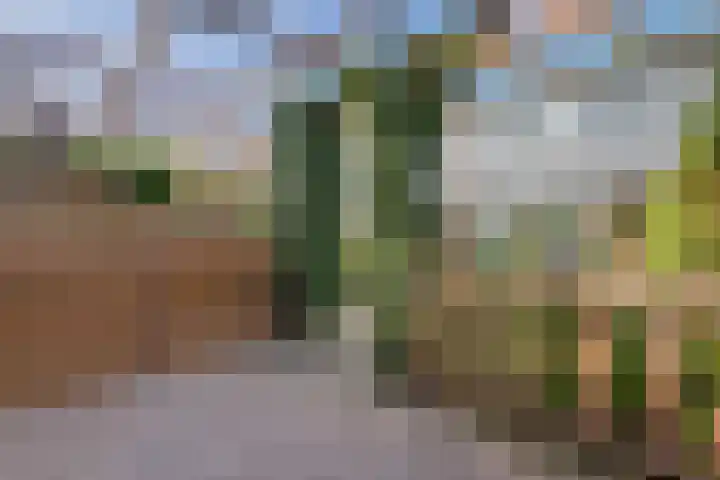 Laan van de Bork 460 Emmen thumbnail 37