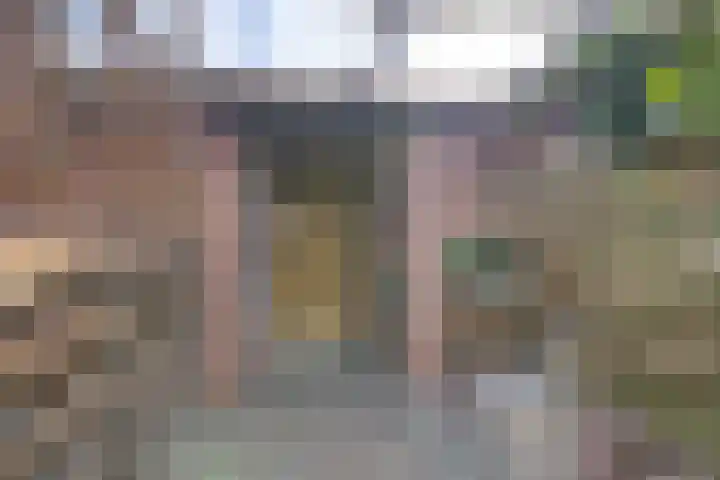 Laan van de Bork 460 Emmen thumbnail 38