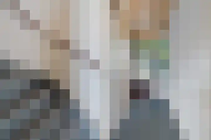 Laan van de Bork 460 Emmen thumbnail 4