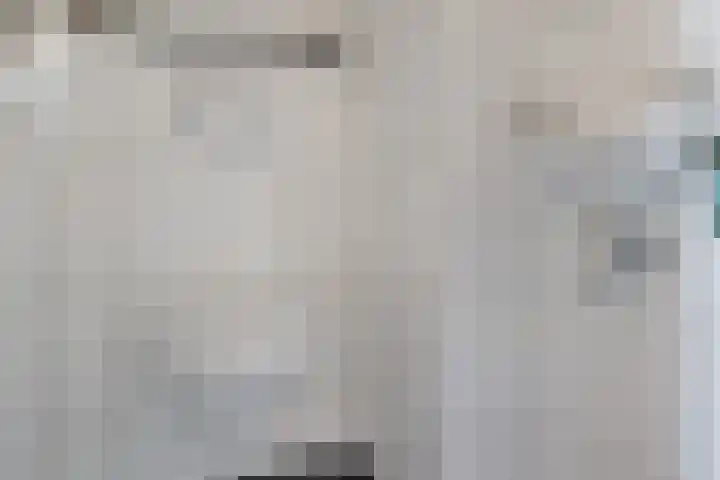 Laan van de Bork 460 Emmen thumbnail 5