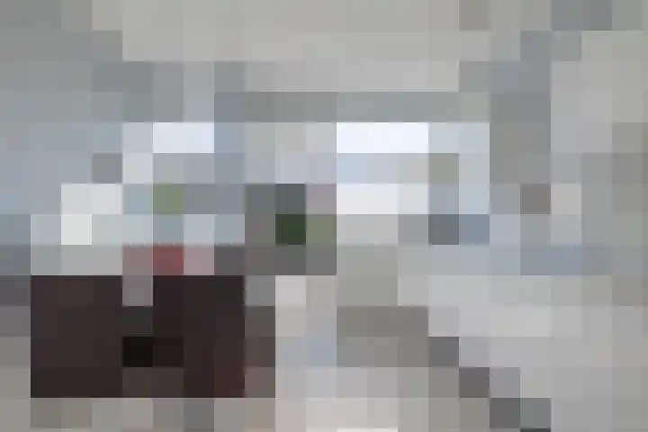 Laan van de Bork 460 Emmen thumbnail 6