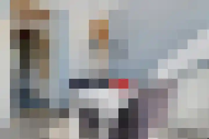 Laan van de Bork 460 Emmen thumbnail 7