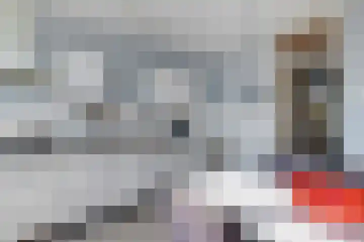Laan van de Bork 460 Emmen thumbnail 8