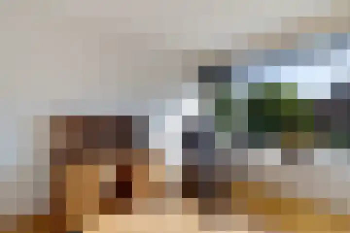 Laan van de Bork 460 Emmen thumbnail 9