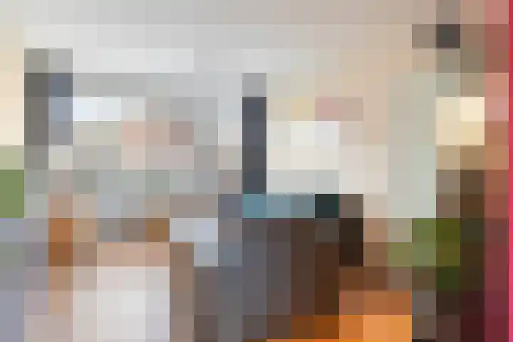 Laan van de Bork 462 Emmen thumbnail 13