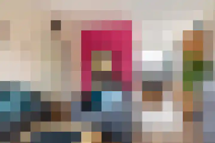 Laan van de Bork 462 Emmen thumbnail 14