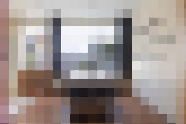 Laan van de Bork 462 Emmen thumbnail 16