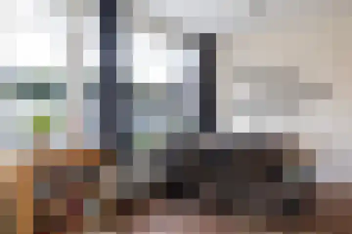 Laan van de Bork 462 Emmen thumbnail 17