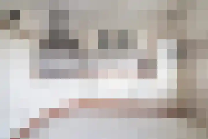 Laan van de Bork 462 Emmen thumbnail 19