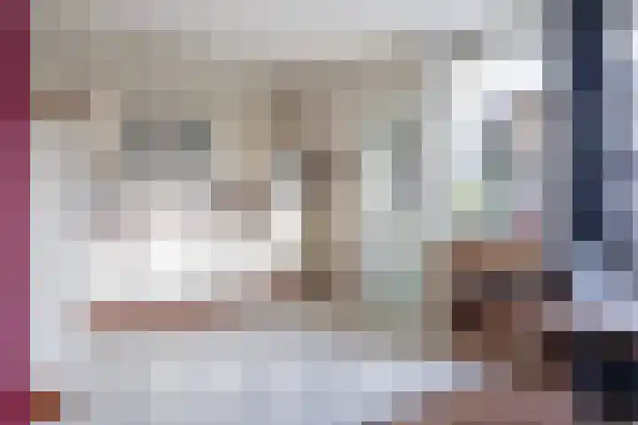 Laan van de Bork 462 Emmen thumbnail 20