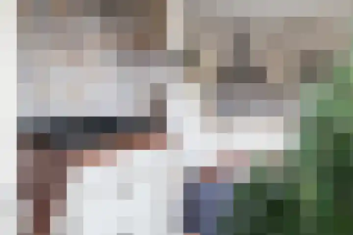 Laan van de Bork 462 Emmen thumbnail 22