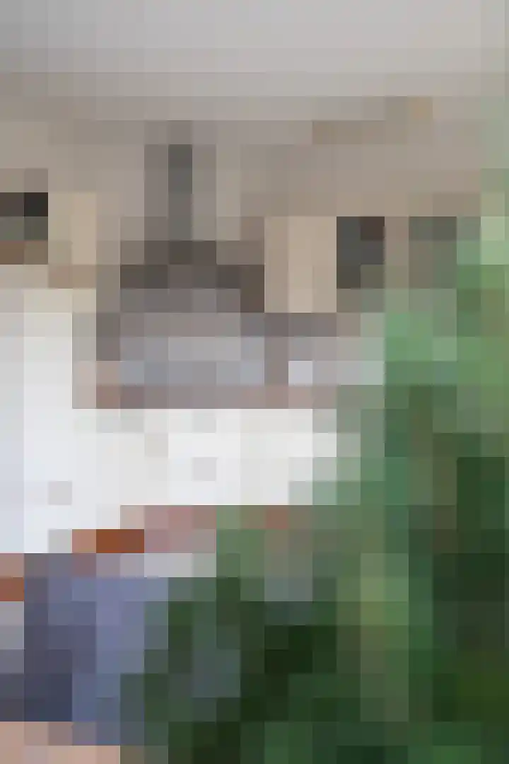 Laan van de Bork 462 Emmen thumbnail 23