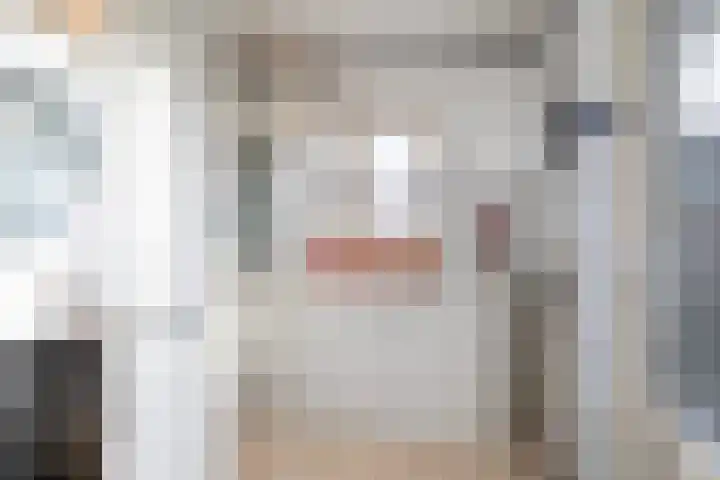Laan van de Bork 462 Emmen thumbnail 25