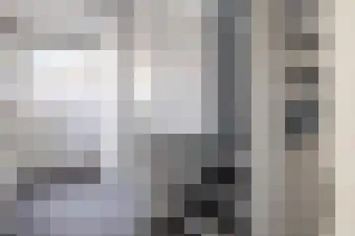 Laan van de Bork 462 Emmen thumbnail 27