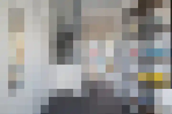 Laan van de Bork 462 Emmen thumbnail 28