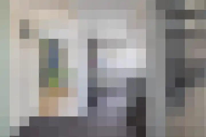 Laan van de Bork 462 Emmen thumbnail 29