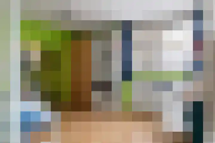 Laan van de Bork 462 Emmen thumbnail 30