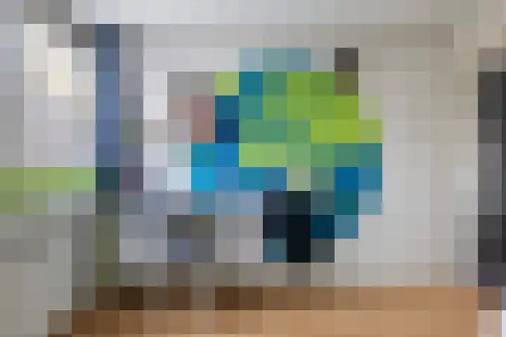 Laan van de Bork 462 Emmen thumbnail 31