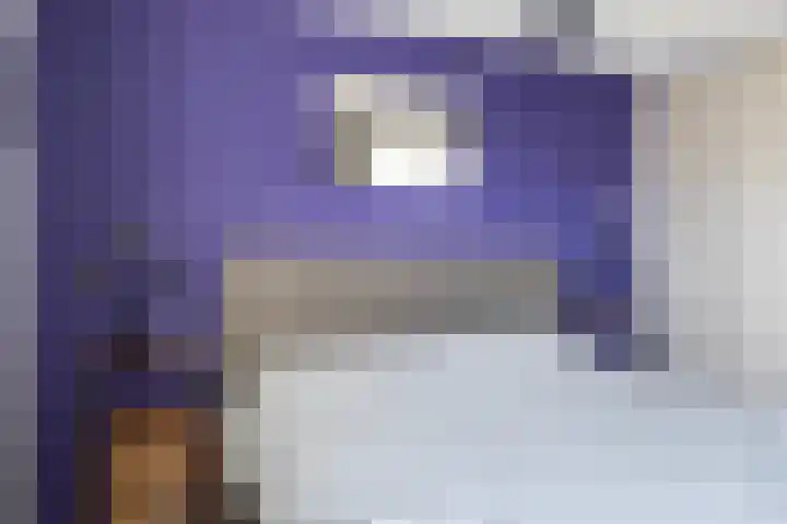Laan van de Bork 462 Emmen thumbnail 32