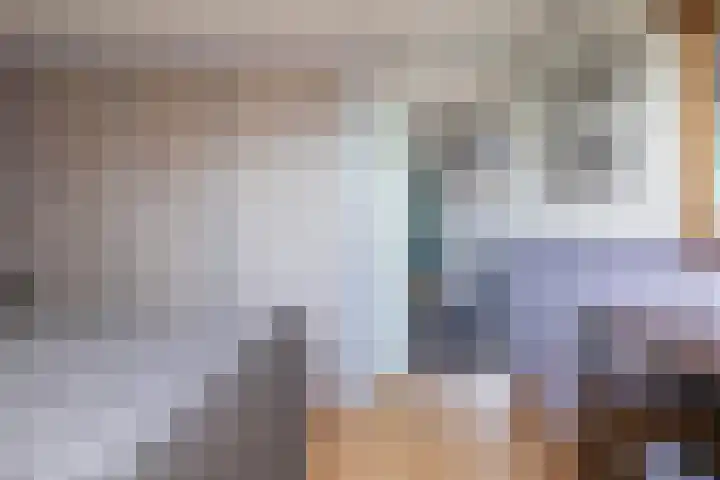 Laan van de Bork 462 Emmen thumbnail 33
