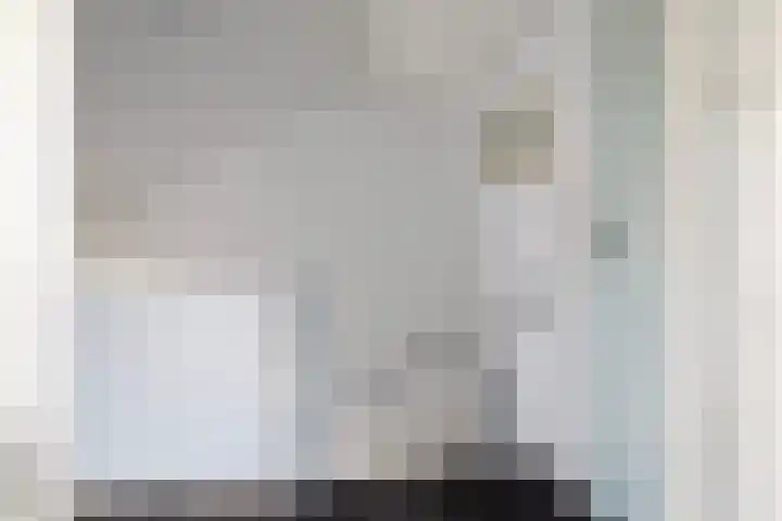 Laan van de Bork 462 Emmen thumbnail 36