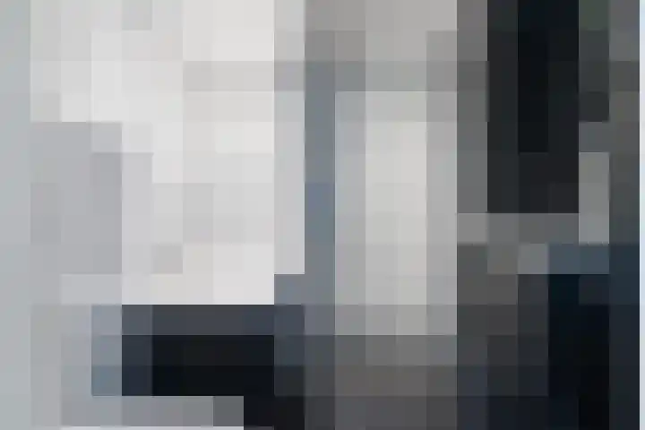 Laan van de Bork 462 Emmen thumbnail 39