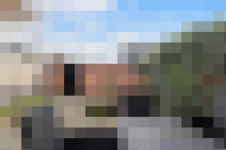 Laan van de Bork 462 Emmen thumbnail 43