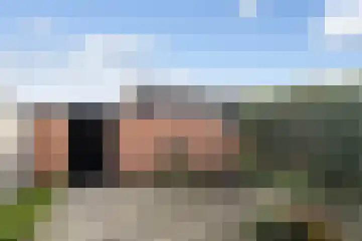 Laan van de Bork 462 Emmen thumbnail 44
