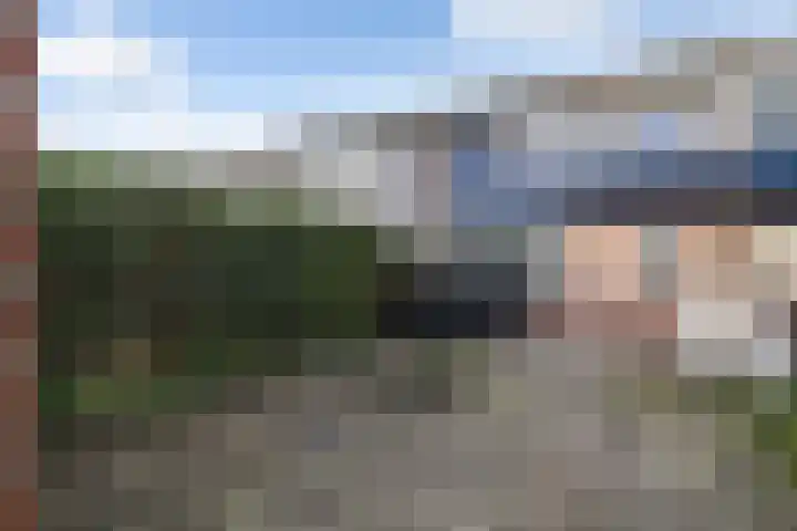 Laan van de Bork 462 Emmen thumbnail 45