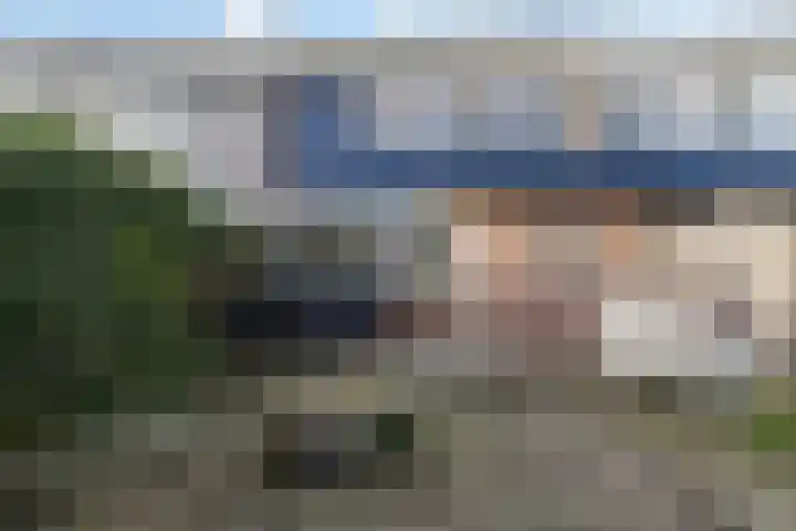 Laan van de Bork 462 Emmen thumbnail 47