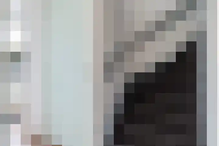 Laan van de Bork 462 Emmen thumbnail 9