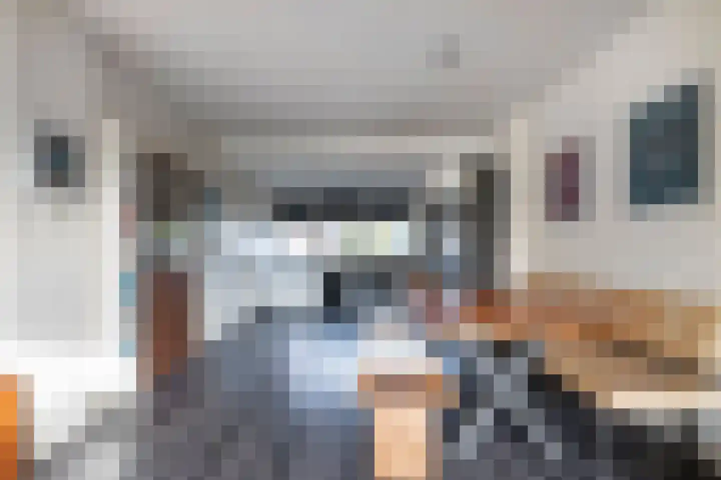 Laan van de Bork 552 Emmen thumbnail 10