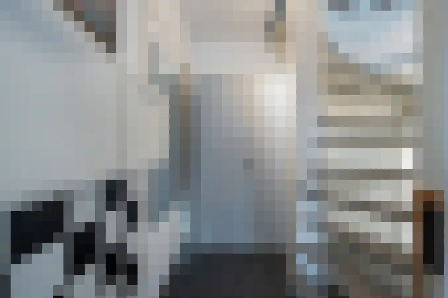 Laan van de Bork 552 Emmen thumbnail 15