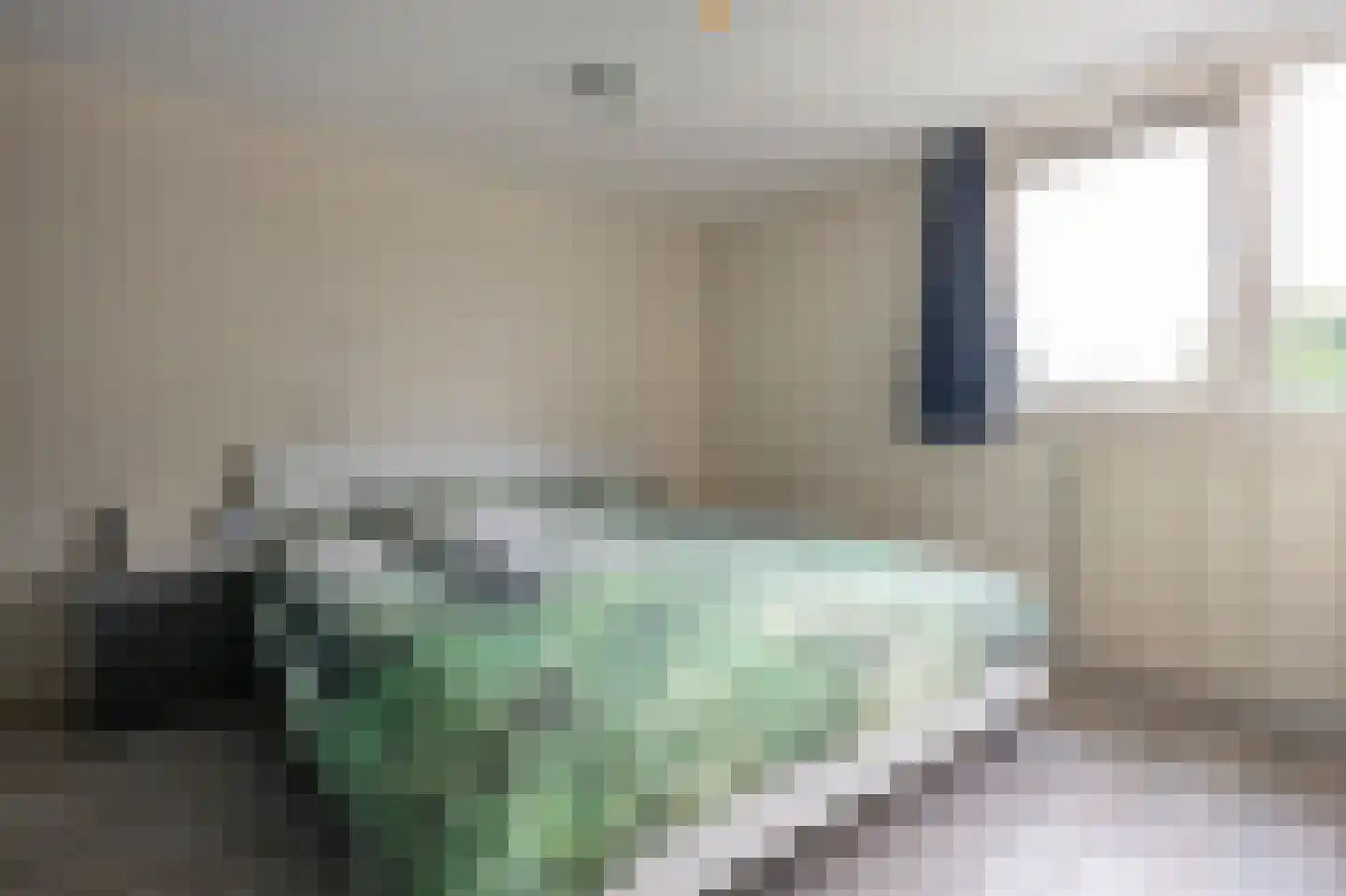Laan van de Bork 552 Emmen thumbnail 16