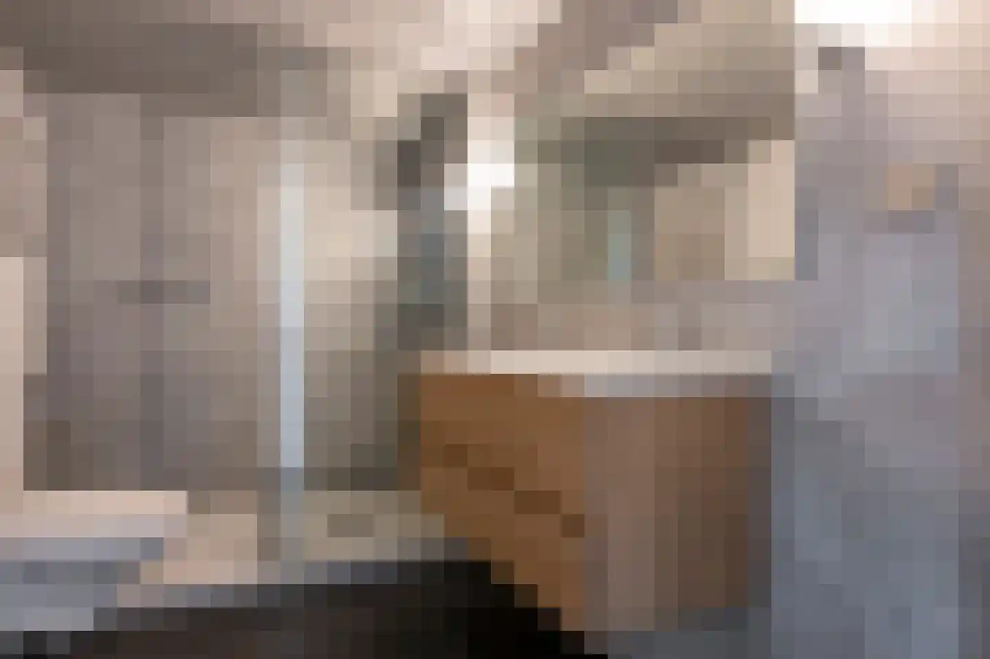 Laan van de Bork 552 Emmen thumbnail 20