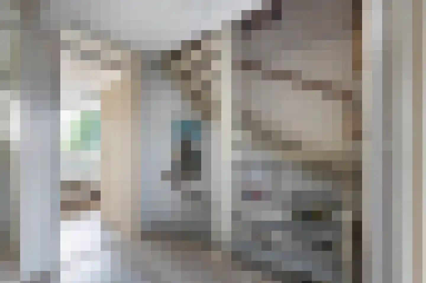 Laan van de Bork 552 Emmen thumbnail 23
