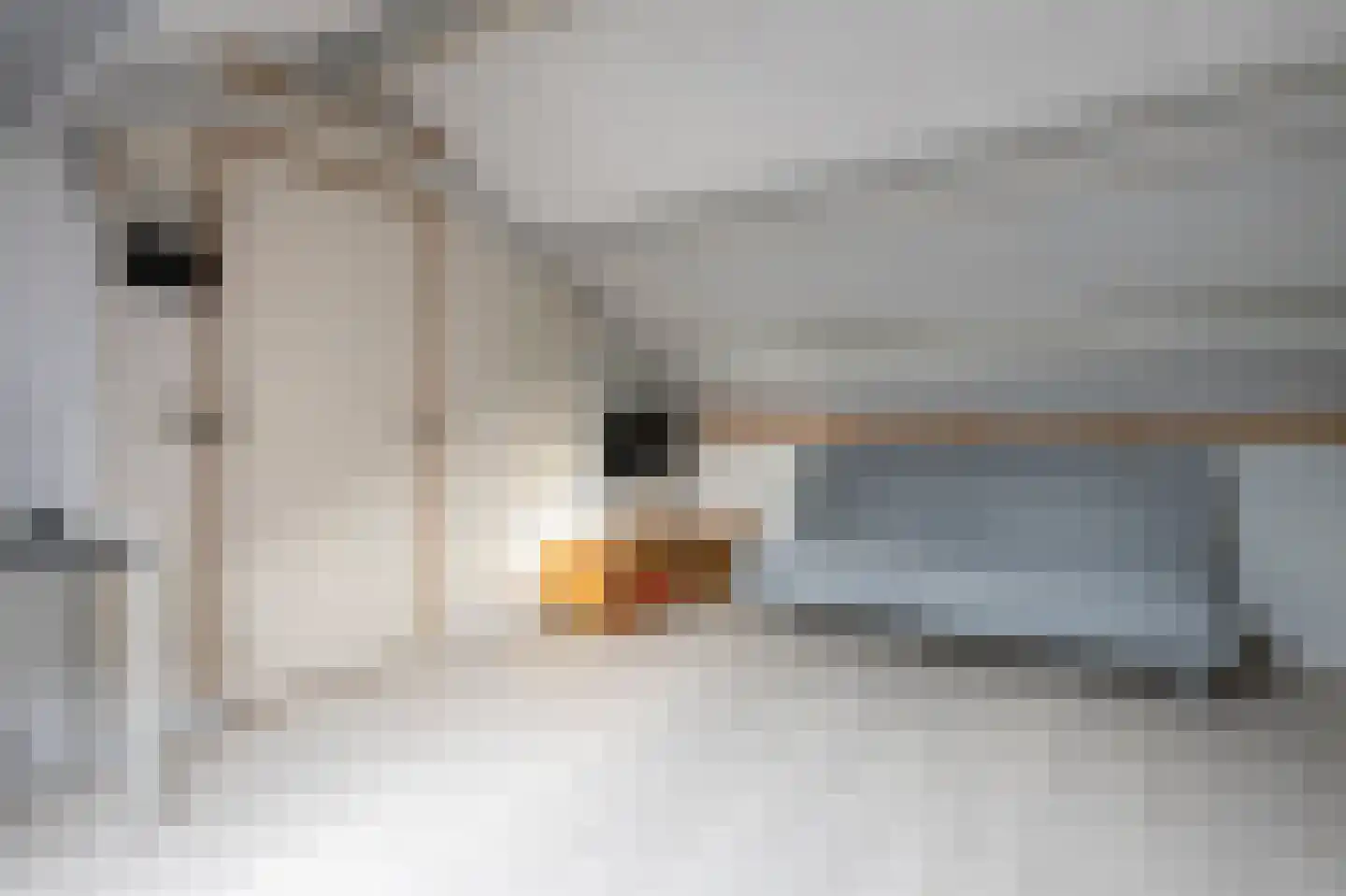Laan van de Bork 552 Emmen thumbnail 25
